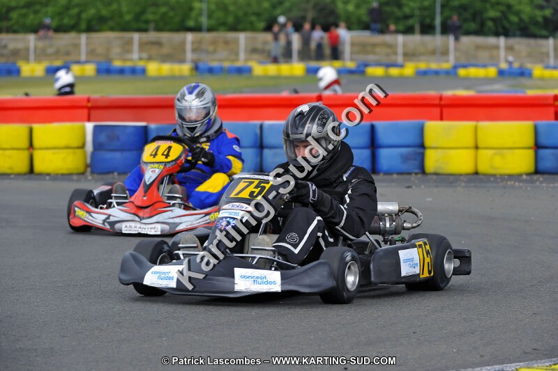 DSC_ (2441).jpg